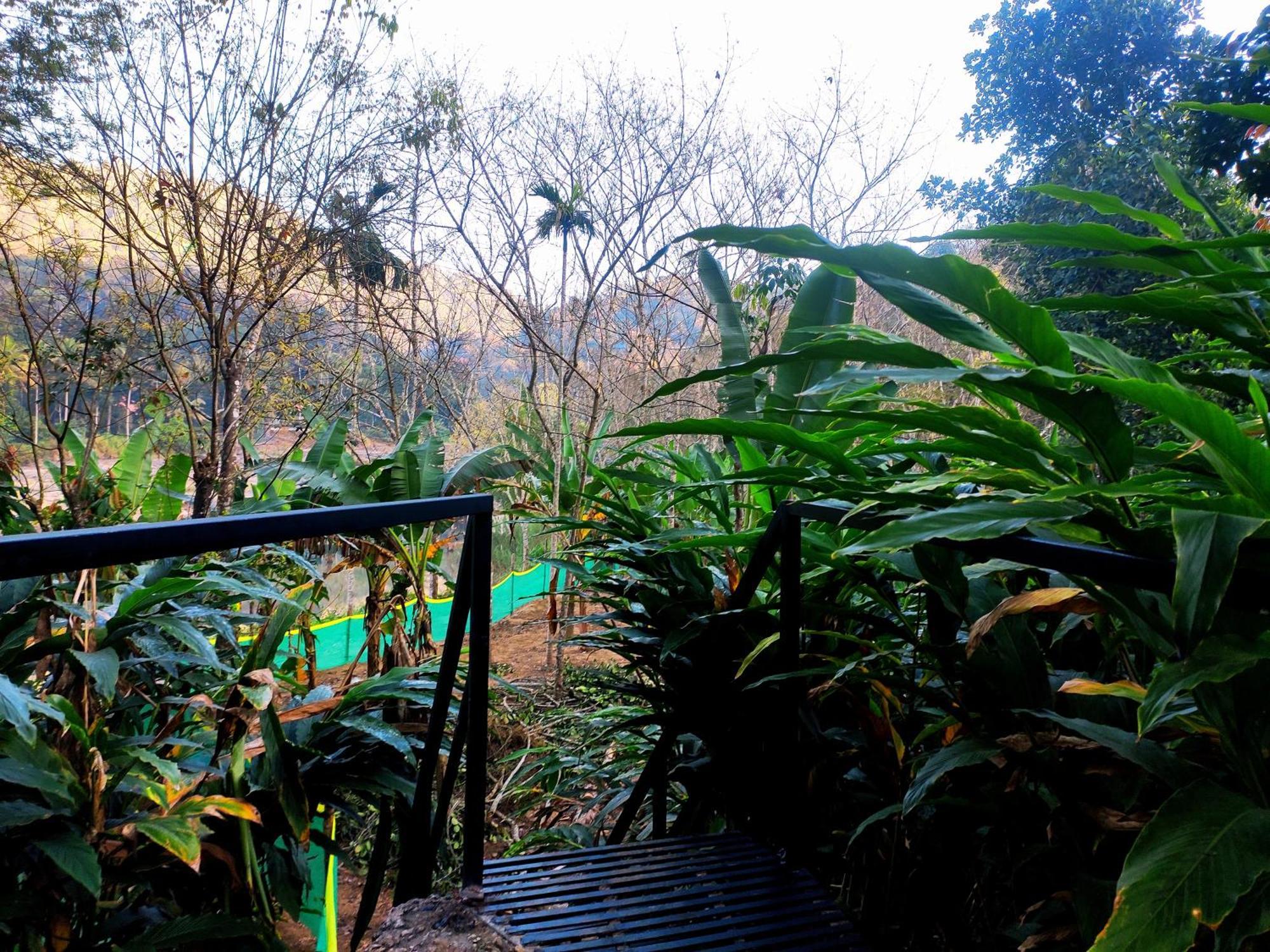 Mistey Valley Munnar Villa Anachal エクステリア 写真